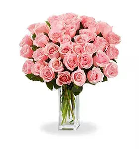 Three Dozen Long Stem Pink Roses From You Flowers Aus