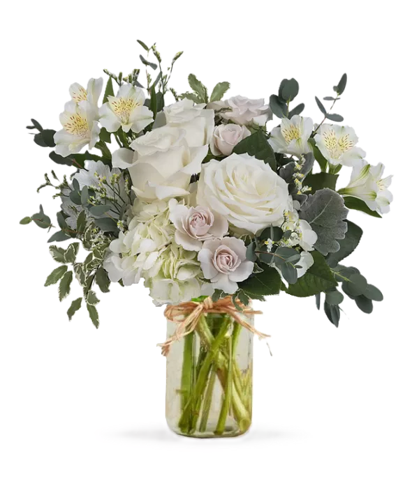 Alstroemeria White