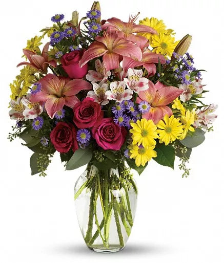 Alstroemeria Pink