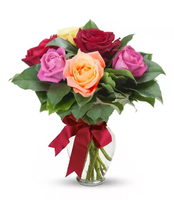 Half Dozen Long Stem Assorted Roses From You Flowers Aus