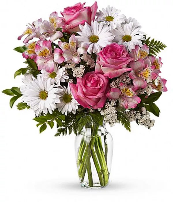 Alstroemeria Pink