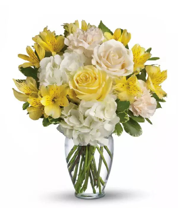 Joyous Delight From You Flowers Aus