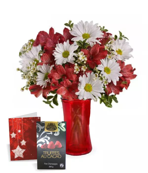 Alstroemeria Red