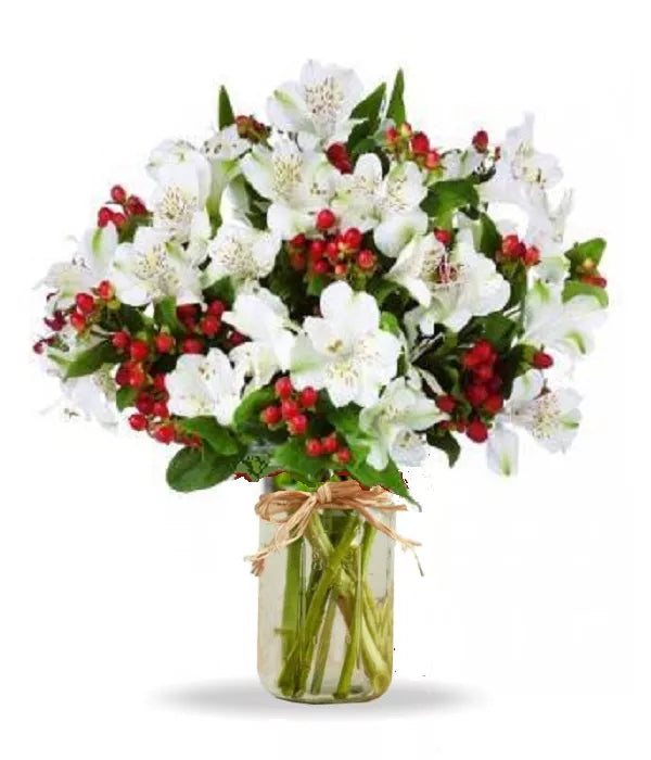 Alstroemeria Red