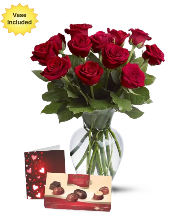 Down Under Romance Dozen Rose Bouquet with Beer