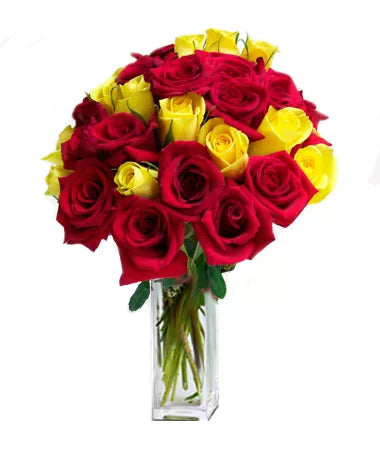 24 Long Stemmed Red and Yellow Roses
