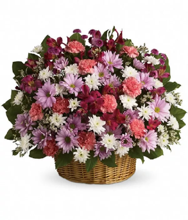 Alstroemeria Pink
