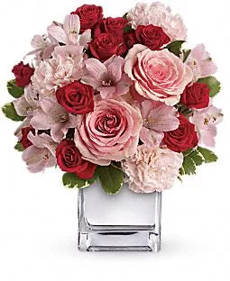 Alstroemeria Pink
