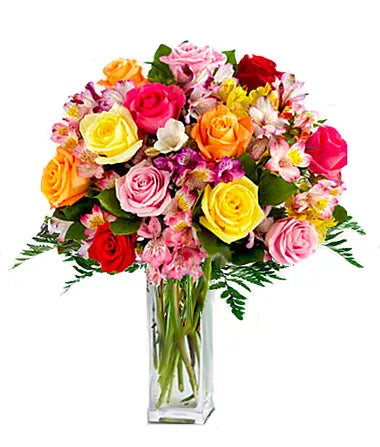 Alstroemeria Assorted
