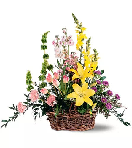 Asiatic Lily Yellow