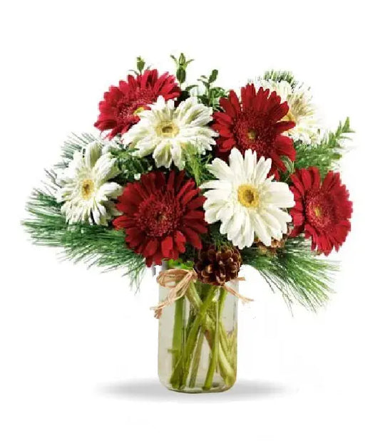 Christmas Stars in a Mason Jar From You Flowers Aus