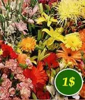 flowers for — Eucalypt Echo From You Flowers Aus