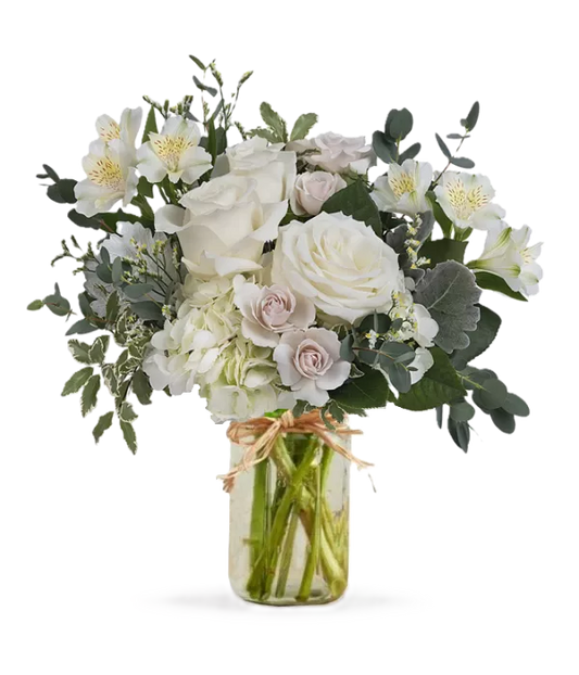 Alstroemeria White