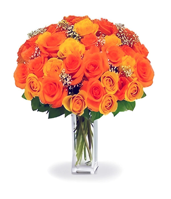 36 Premium Orange Roses