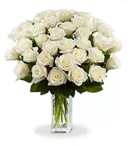 Three Dozen Long Stem White Roses From You Flowers Aus