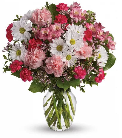 Alstroemeria Pink