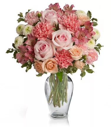 Alstroemeria Pink