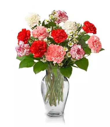 Carnival Bouquet From You Flowers Aus