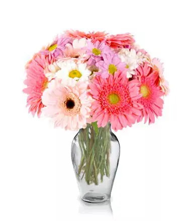 Picturesque From You Flowers Aus