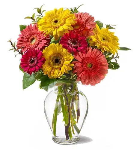 Same Day Special From You Flowers Aus