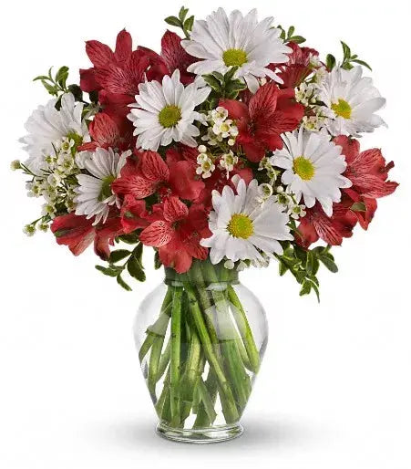 Same Day Special From You Flowers Aus