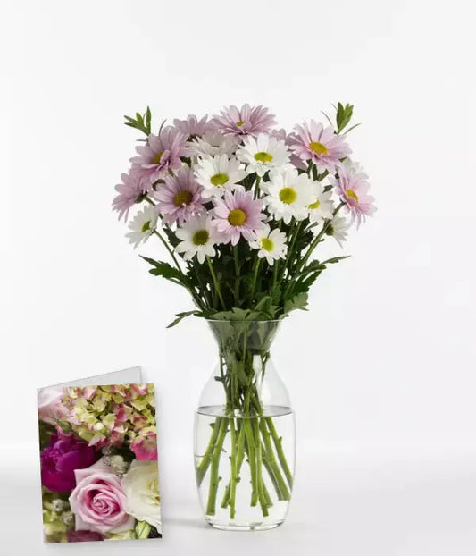 Possum Magic Romance Daisies Bouquet in Vase