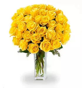 Three Dozen Long Stem Yellow Roses From You Flowers Aus