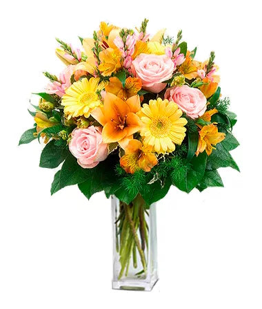 Alstroemeria Orange