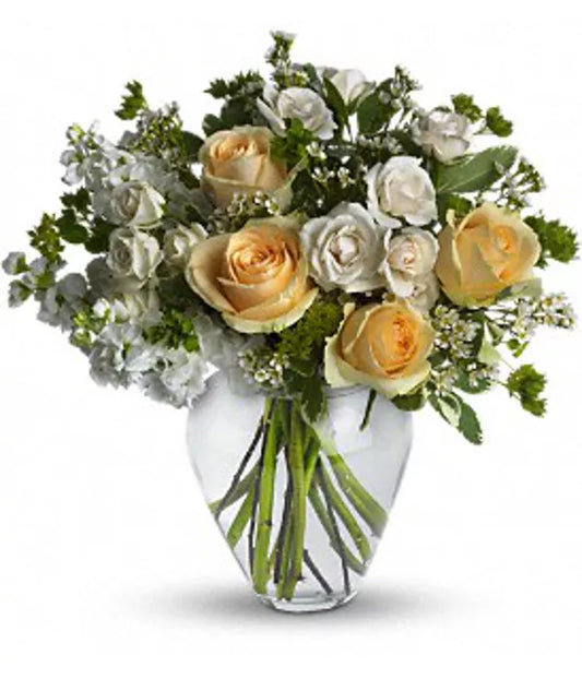 Alstroemeria White