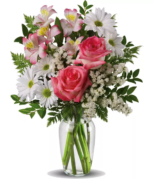 Alstroemeria Pink