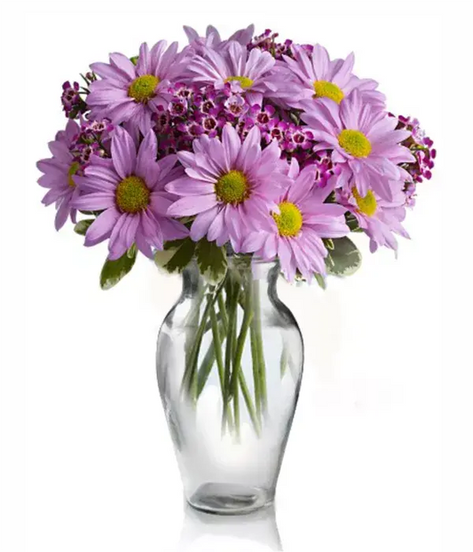 Classic Mauve Daisy Bouquet From You Flowers Aus