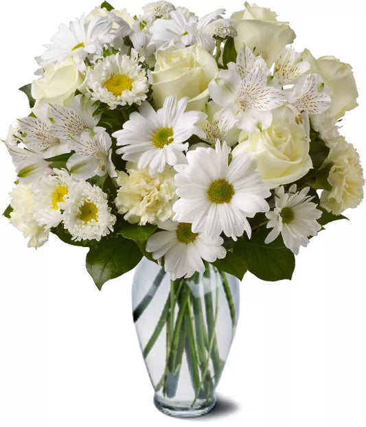 Alstroemeria White