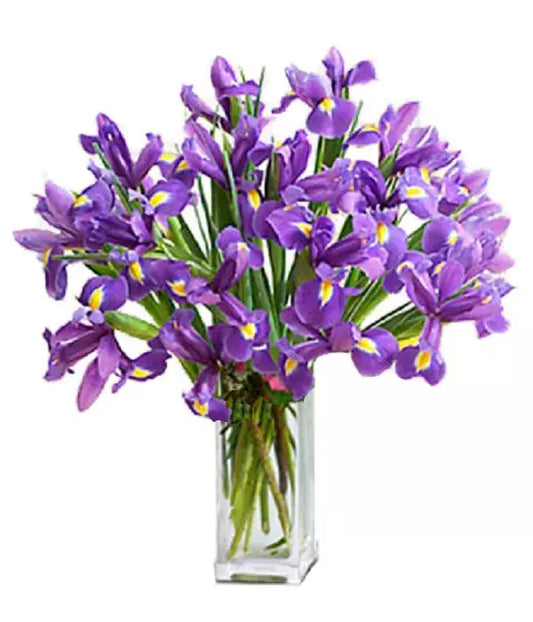 Blue Iris Bouquet Ten Stems From You Flowers Aus