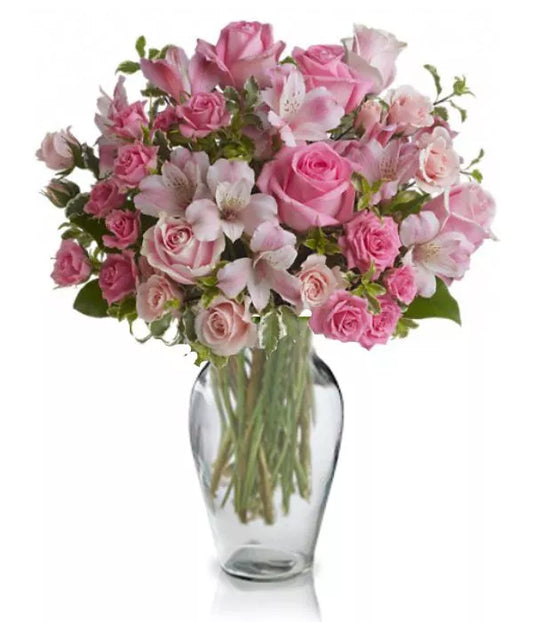 Alstroemeria Pink