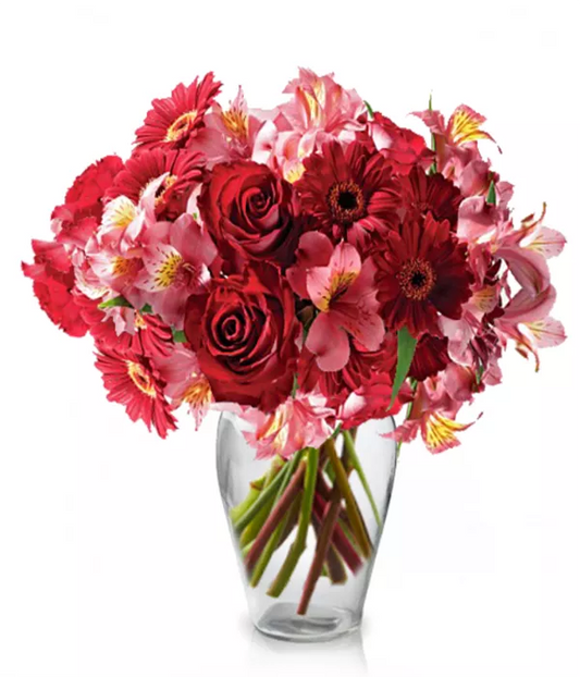 Alstroemeria Pink