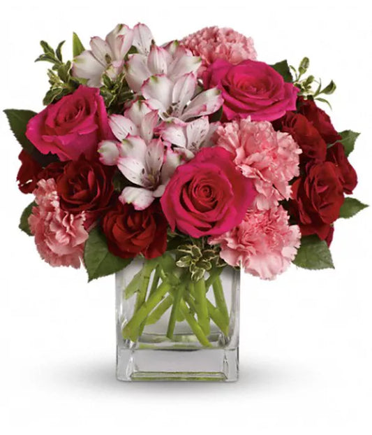 Alstroemeria Pink