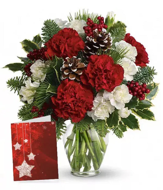 Festive Carnation Special From You Flowers Aus