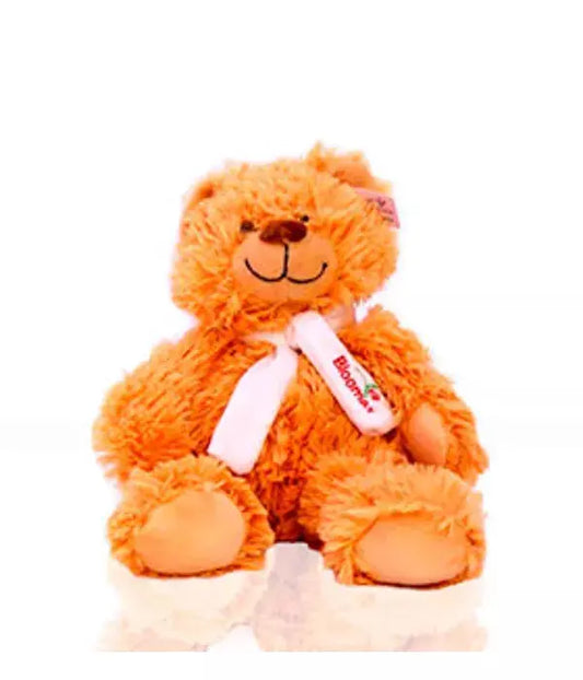 Plush Teddy Bear From You Flowers Aus