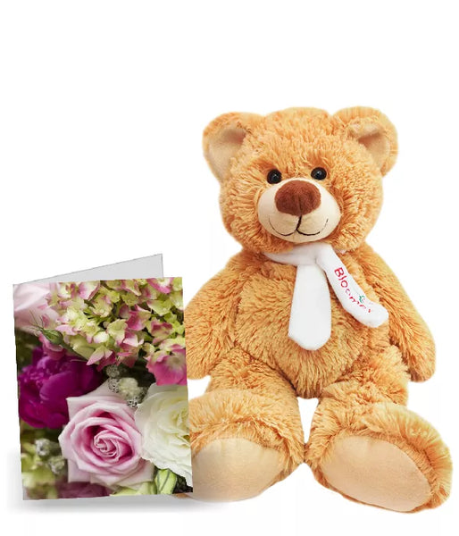 Card & Teddy Add-On Special (Checkout)