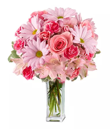 Alstroemeria Pink