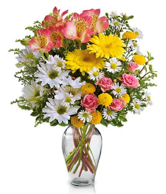 Alstroemeria Pink