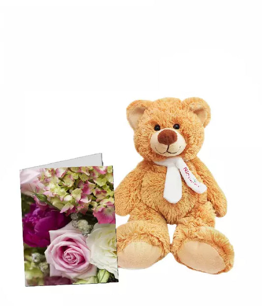 Card & Teddy - From You Flowers Aus