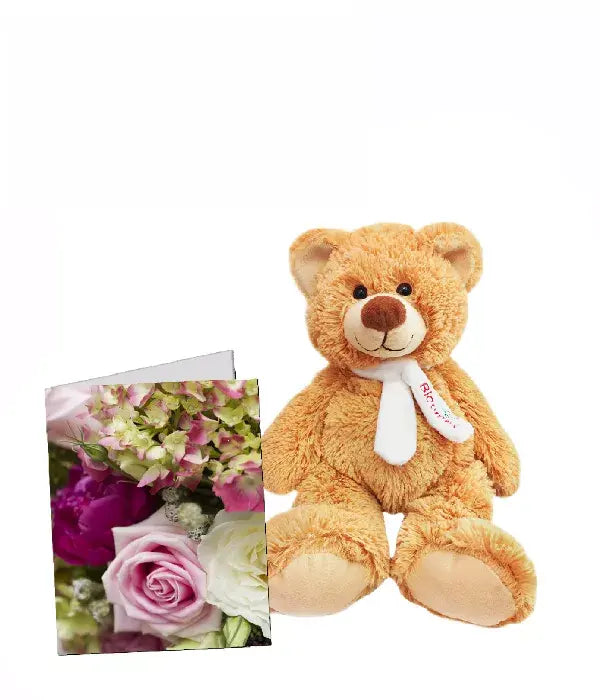 Plush Teddy Bear From You Flowers Aus