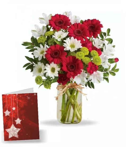 Alstroemeria White