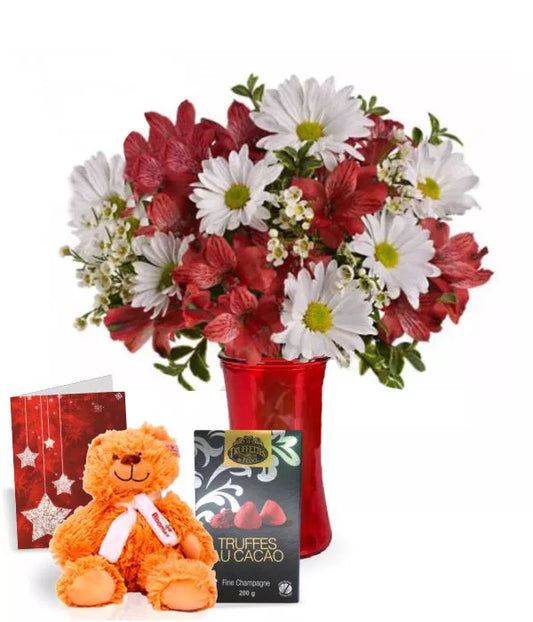 Alstroemeria Red