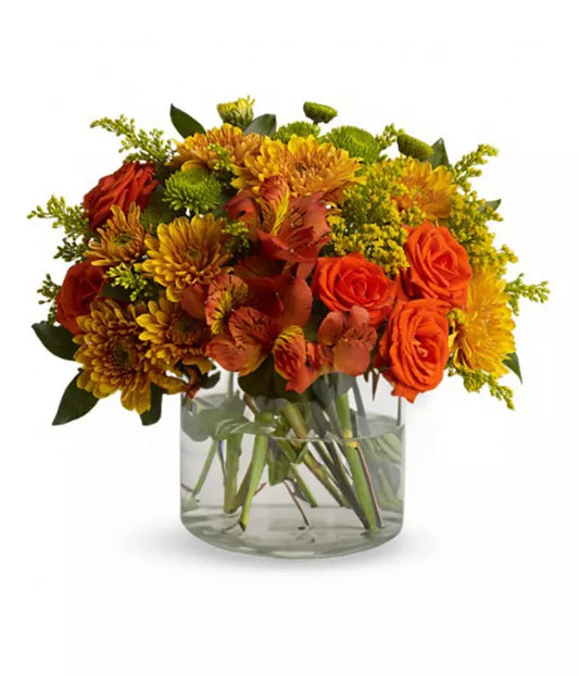 Alstroemeria Orange