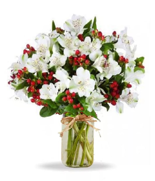 Alstroemeria Red