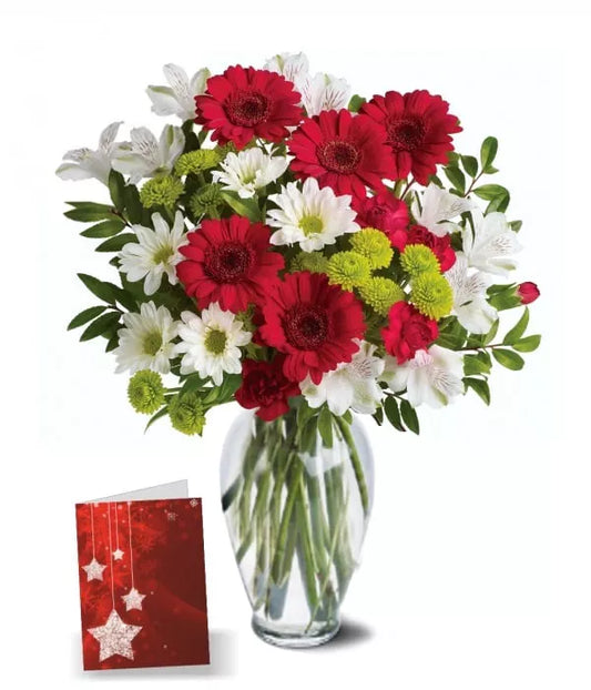 Alstroemeria Red