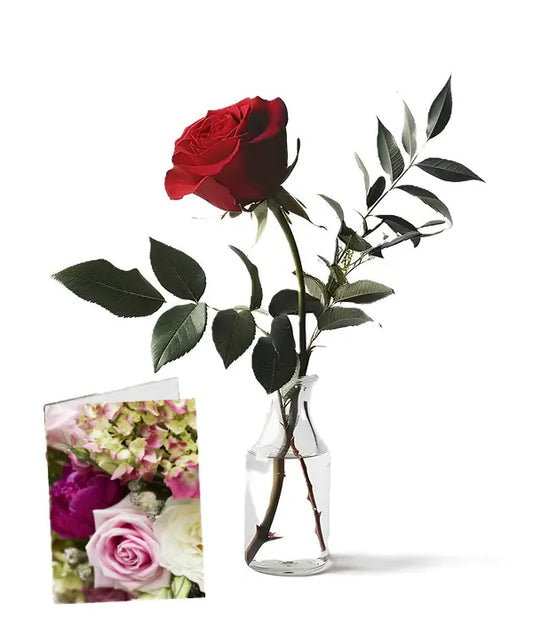 Greeting Card From You Flowers Aus