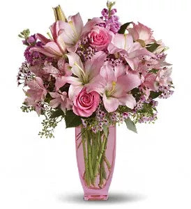 Alstroemeria Pink